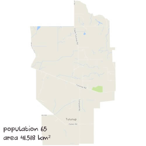 English Tutoring Near Me